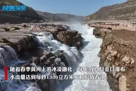 视频丨黄河壶口瀑布迎来2024年“桃花汛”图片