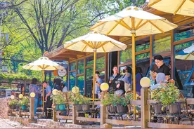 来北京，总要逛一逛长城吧！图片