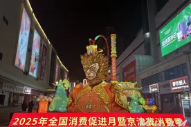 携手奉上消费盛宴！2025年全国消费促进月暨京津冀消费季活动在石家庄启幕图片