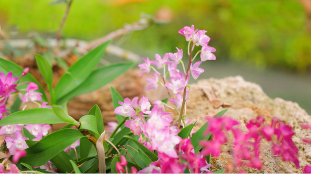 周末就来青白江！又研学又度假，安排！