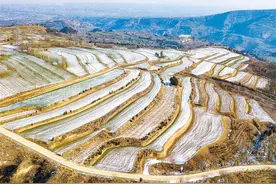 穿越山水之间 解密秦岭的“生态之变”图片