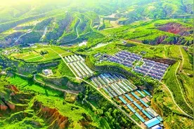 从“土里土气”到“名扬万里”——陕北做大做强特色农业产业图片