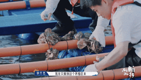 新华社携手董宇辉，走进广西的蔚蓝海岸……