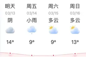 3月15日开考！荆门共设置4个考点→图片