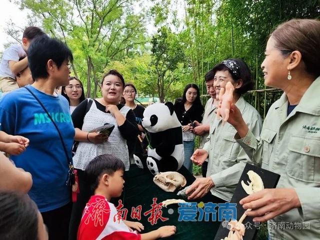 一年四季 泉在济南 | 来济南动物园，零距离“邂逅”大熊猫