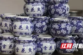 邵阳县金江乡：执党建引领之笔 绘“山乡巨变”画卷图片