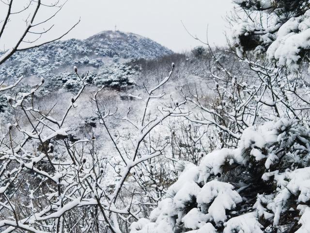 河南北风吹雪，嵩山一夜白头
