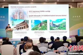 山西太原赴土耳其“互动” 两地多家企业签署合作协议图片