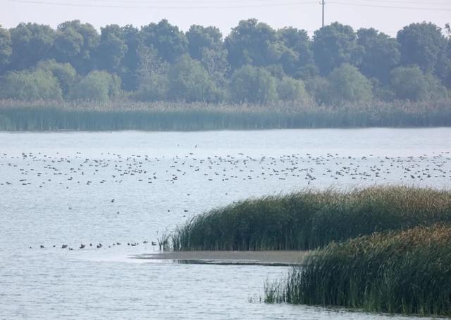 到了到了官方确认：已抵达杭州！