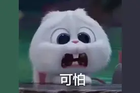 小货车超高？司机：不是允许超过4米吗……图片