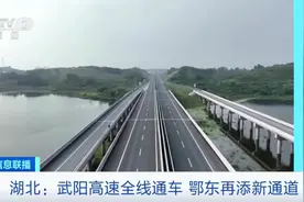 武汉与南昌3小时高速直达！湖北武阳高速全线通车→图片