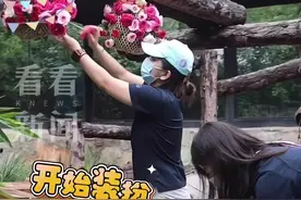大熊猫丫丫24岁本命年生日 工作人员精心祝寿图片