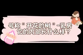 又双叒叕堵奶了！如何解决母乳喂养上的“拦路虎”图片