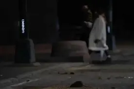 美国男子送来近千只老鼠，18只老鼠已被收养，收容所正在把雌雄分开图片