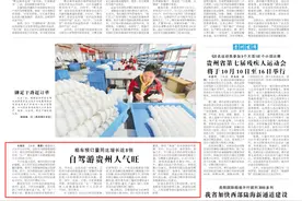 租车预订量同比增长近8倍｜自驾游贵州人气旺图片