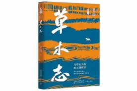 以草木喻人书写乡村变迁图片