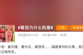 为什么福建有那么多水果蔬菜都姓“番”？图片