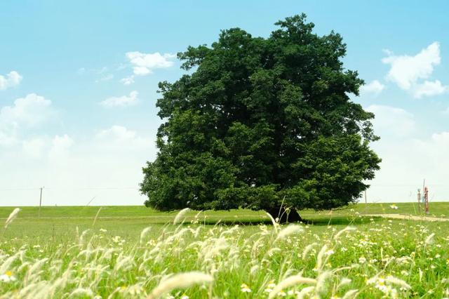 多图直击！“北江之恋・朝夕有你”夕阳音乐嘉年华热力开唱！