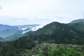 “颜值”变“产值” “赏花游”助推文旅经济“春色满园”图片