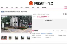 单价约50万元/平方米，深圳南山区“最贵”法拍房成交，近4万人围观图片