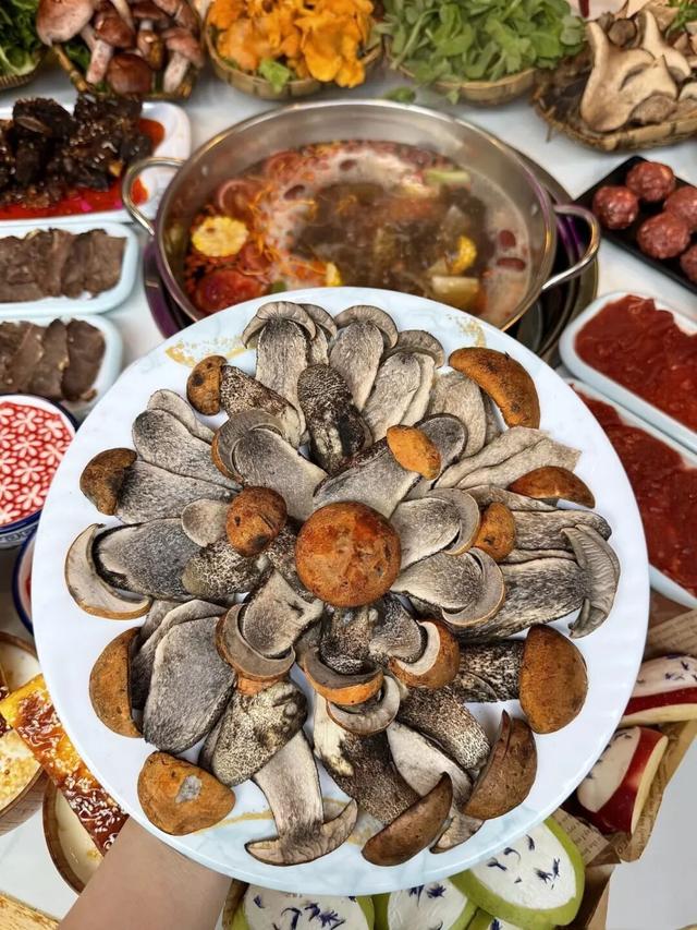 甘孜从0°到100°，每一“度”都好玩～