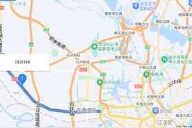 最新！武汉两条市域国道将延伸图片