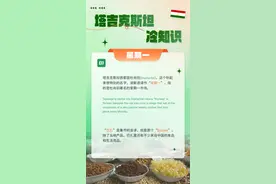 好有趣！9图秒懂塔吉克斯坦冷知识图片