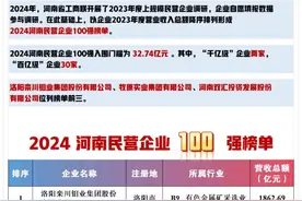 2024河南民营企业百强榜单发布，其中13家上榜全国500强图片