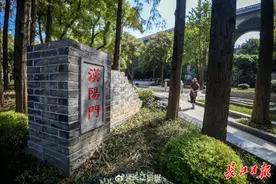 开放了！武汉长江大桥下，全国人赶来图片