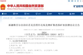 新疆维吾尔自治区若羌县塔什达坂北锂矿勘查等3宗锂矿探矿权挂牌出让公告图片