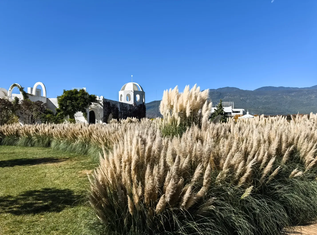 丽江：美景引客来 冬游正当时