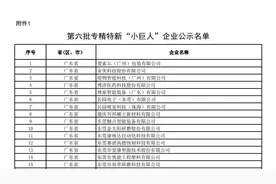 第六批专精特新“小巨人”企业公示，广东561家企业入选图片
