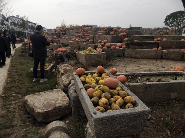 聚焦“苏北第一区”文旅新实践！谱写中国式现代化的徐州新篇