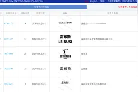 雷军短暂跻身“中国首富”，“雷布斯”已被注册为商标图片
