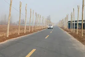 柘城县：路宽了出行顺畅了图片