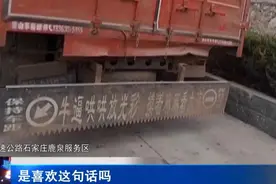 货车个性装饰挡车牌 高速交警及时纠正图片