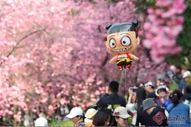 【高清组图】昆明“圆通樱潮”春日盛景美不胜收图片