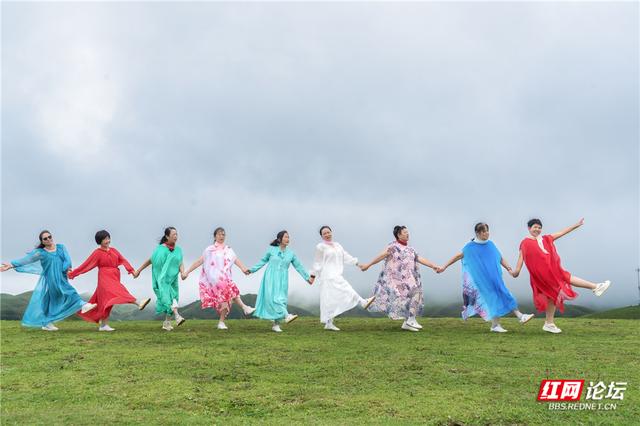 【每日一图@湖南】邵阳城步南山牧场：生态画卷里的活力乐章