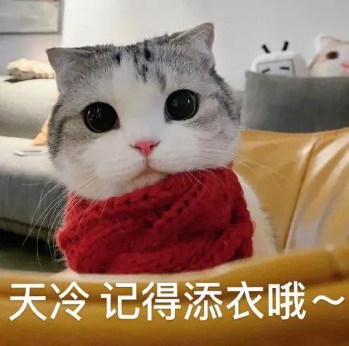 瓦屋山百万游客倒计时!“天选锦鲤”即将诞生,解锁独一份的重磅惊喜!这份天降好运会是你的吗?!