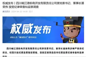 四川岷江港航电开发有限责任公司原党委书记、董事长潘荣伟接受审查调查图片
