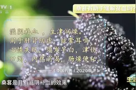 春季营养清单+1 一把小桑葚给身体带来3个好处→图片