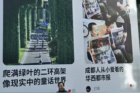 打卡成都太古里商圈“你就是成都封面”新年展｜图集图片