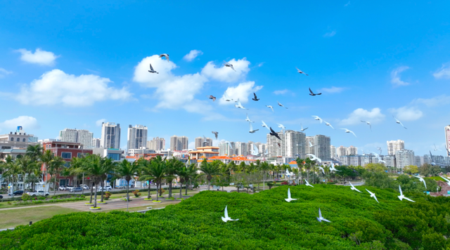 湛江逛吃地图更新！这条宝藏路线，我能逛100遍→