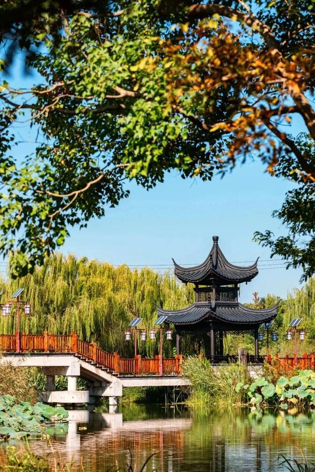 秋天基础，盐城的秋景就不基础！