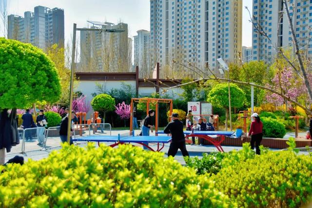 春色满城！定州藏不住的温柔与浪漫