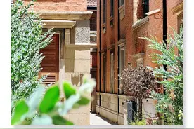 超好逛！上海春日街区漫游指南来了图片