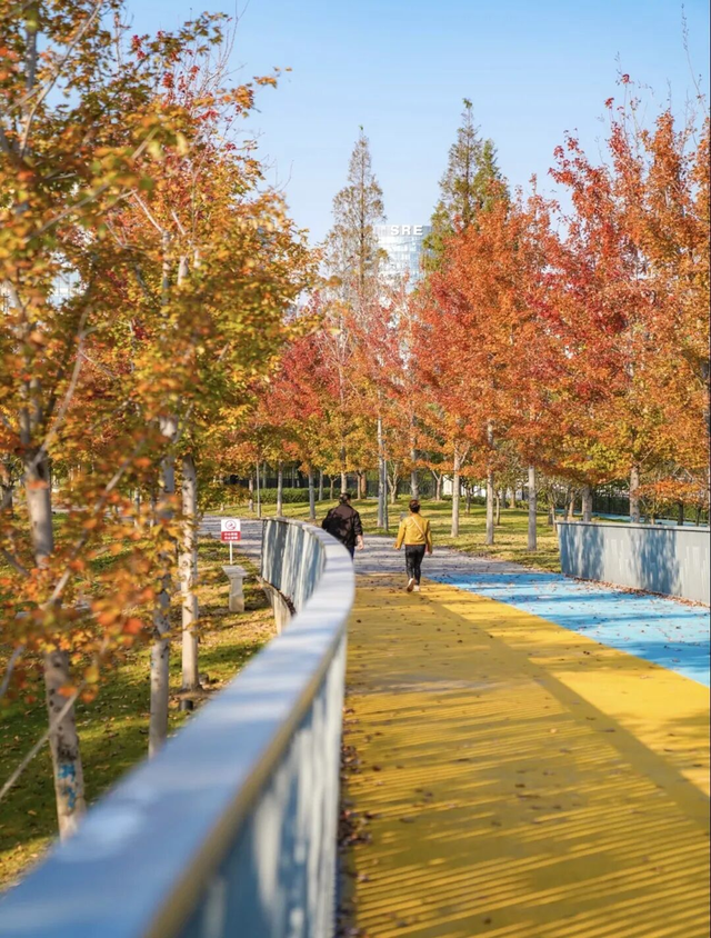 网红纷纷奔赴这！上海这座通往 “欧洲城堡” 的绝美旋梯火了！