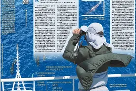 深读丨这片海，总有“鲸”喜图片