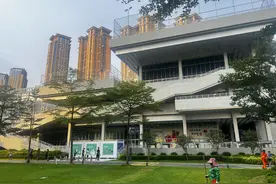 蛇口文体公园下周开园！奥运冠军加盟的花游特色游泳馆来了图片