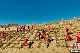 “柴达木粮仓”2024年荒漠化综合防治和“三北”工程正式开工图片
